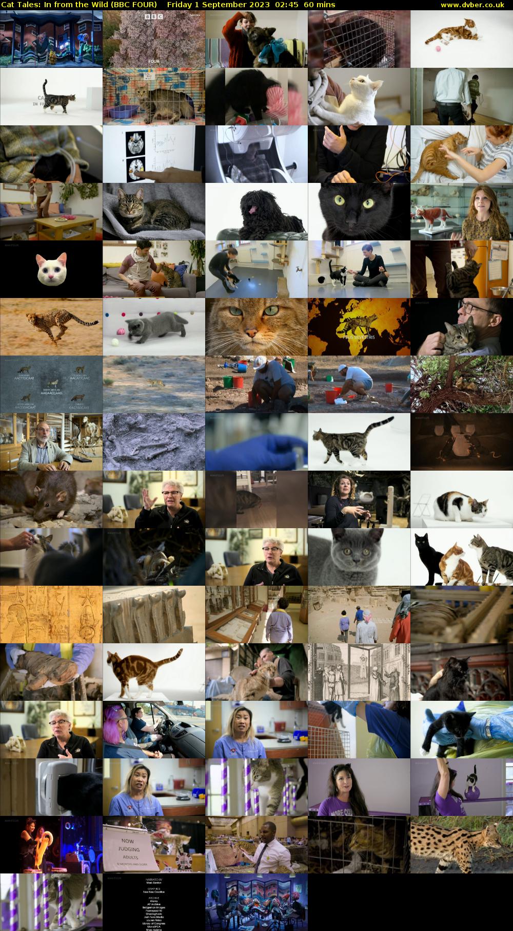 Cat Tales: In from the Wild (BBC FOUR) Friday 1 September 2023 02:45 - 03:45