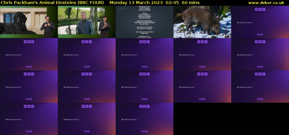 Chris Packham's Animal Einsteins (BBC FOUR) Monday 13 March 2023 02:45 - 03:45