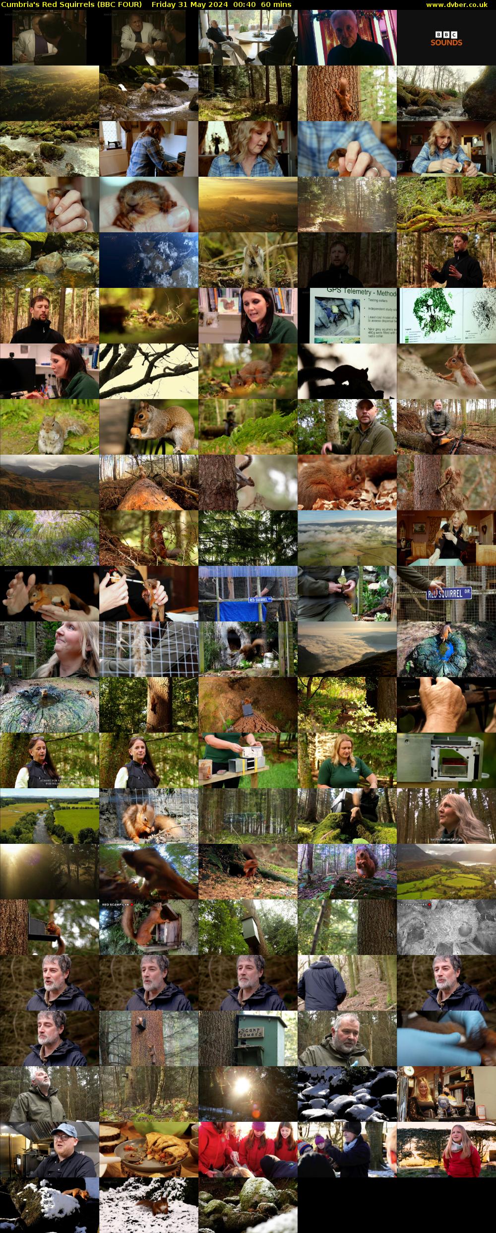 Cumbria's Red Squirrels (BBC FOUR) Friday 31 May 2024 00:40 - 01:40