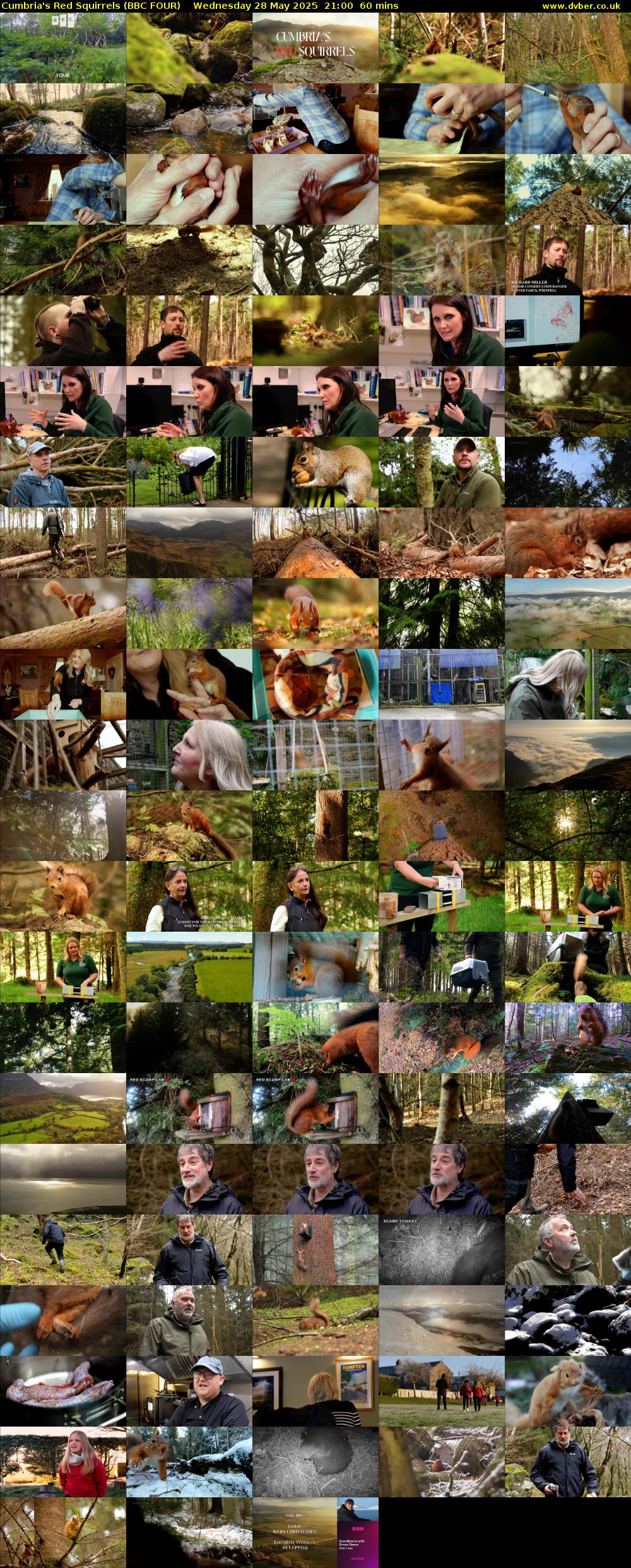 Cumbria's Red Squirrels (BBC FOUR) Wednesday 28 May 2025 21:00 - 22:00