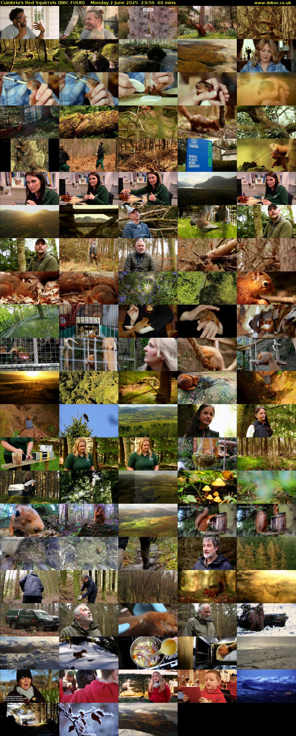 Cumbria's Red Squirrels (BBC FOUR) Monday 2 June 2025 23:50 - 00:50