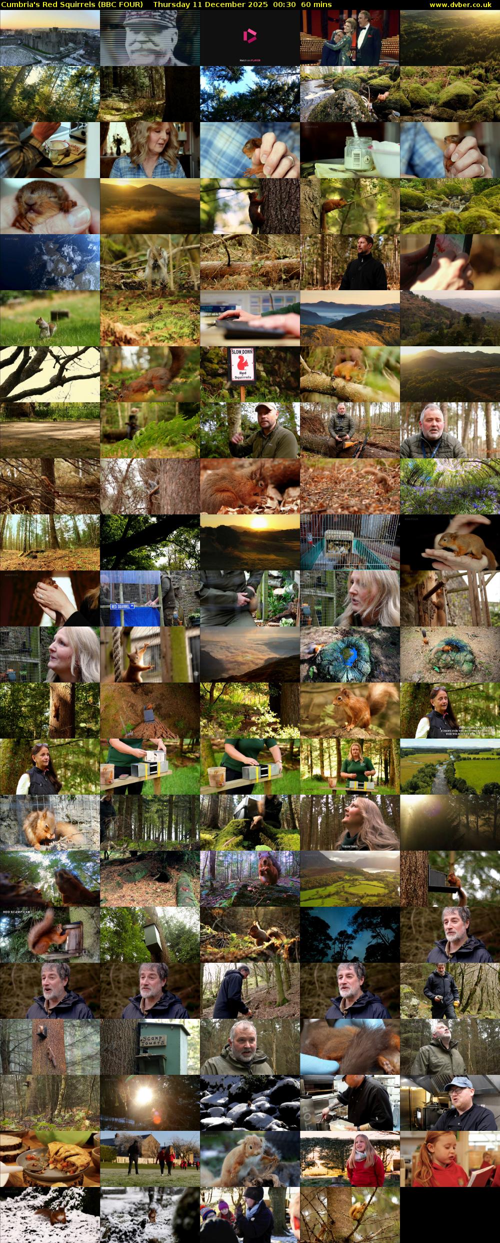 Cumbria's Red Squirrels (BBC FOUR) Thursday 11 December 2025 00:30 - 01:30