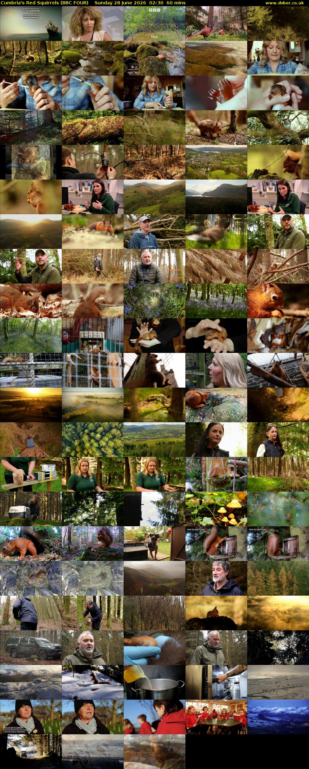 Cumbria's Red Squirrels (BBC FOUR) Sunday 28 June 2026 02:30 - 03:30