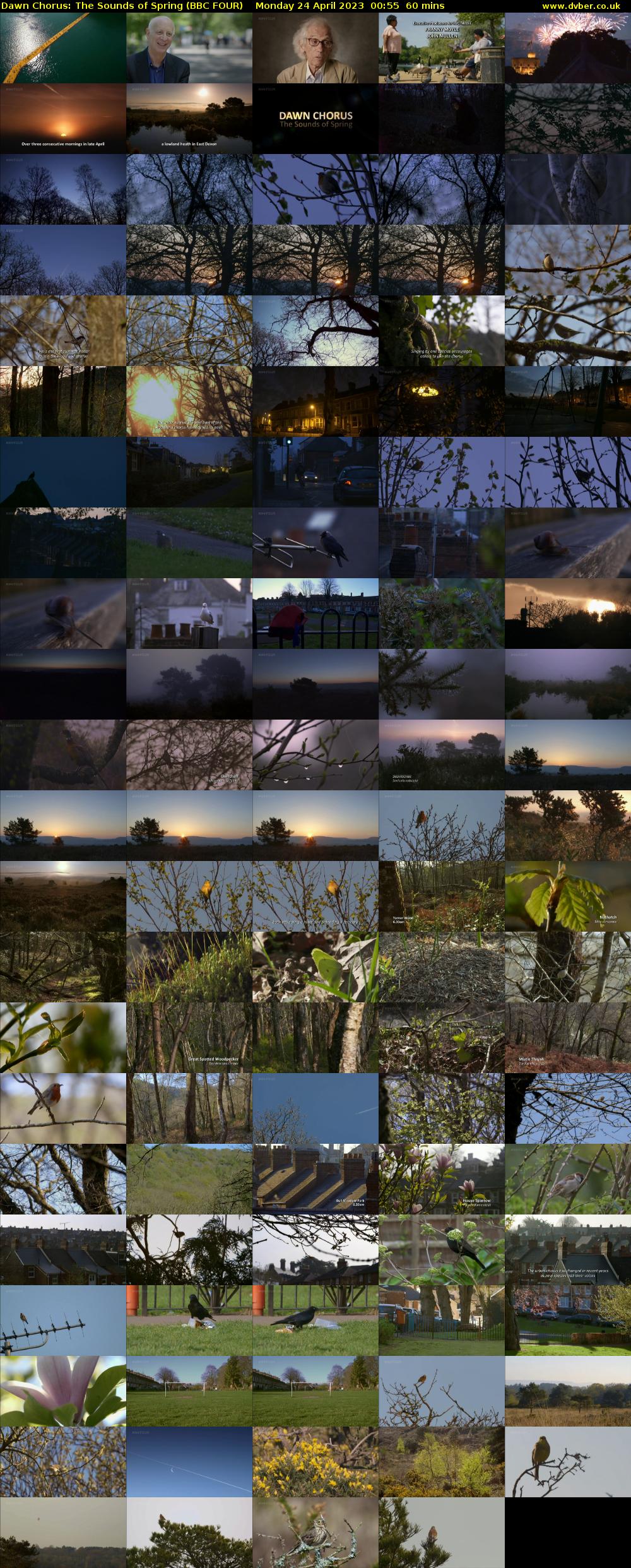 Dawn Chorus: The Sounds of Spring (BBC FOUR) Monday 24 April 2023 00:55 - 01:55