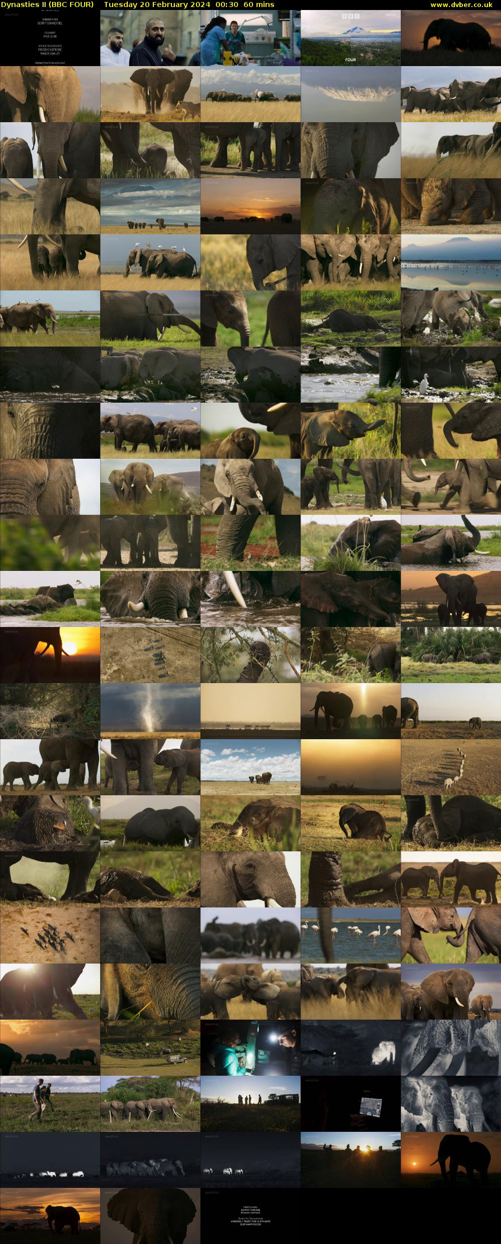 Dynasties II (BBC FOUR) Tuesday 20 February 2024 00:30 - 01:30
