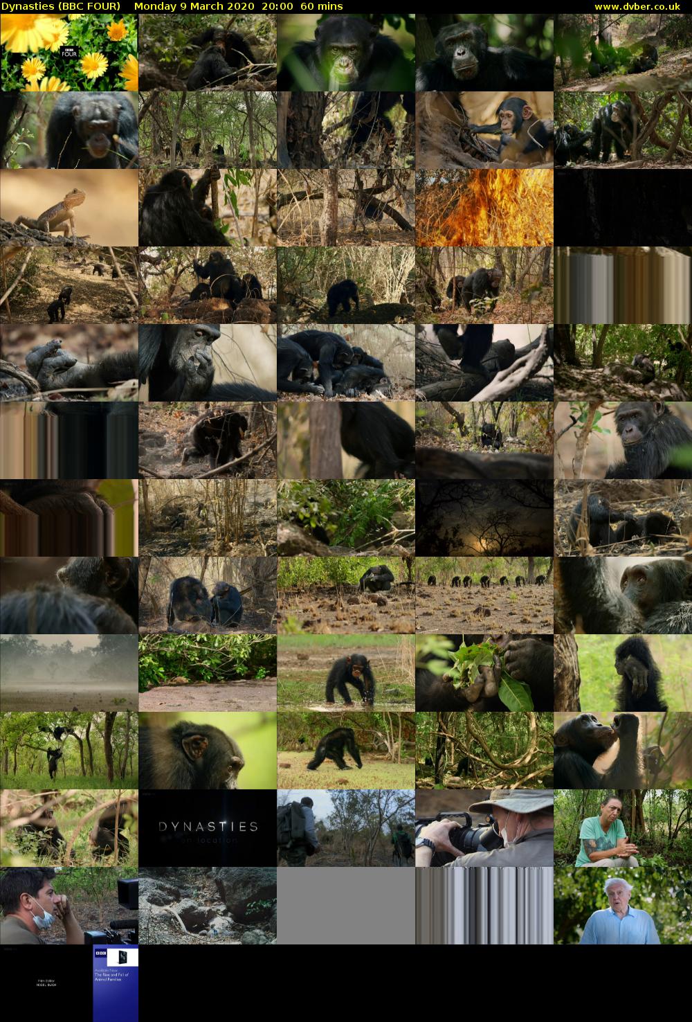 Dynasties (BBC FOUR) Monday 9 March 2020 20:00 - 21:00