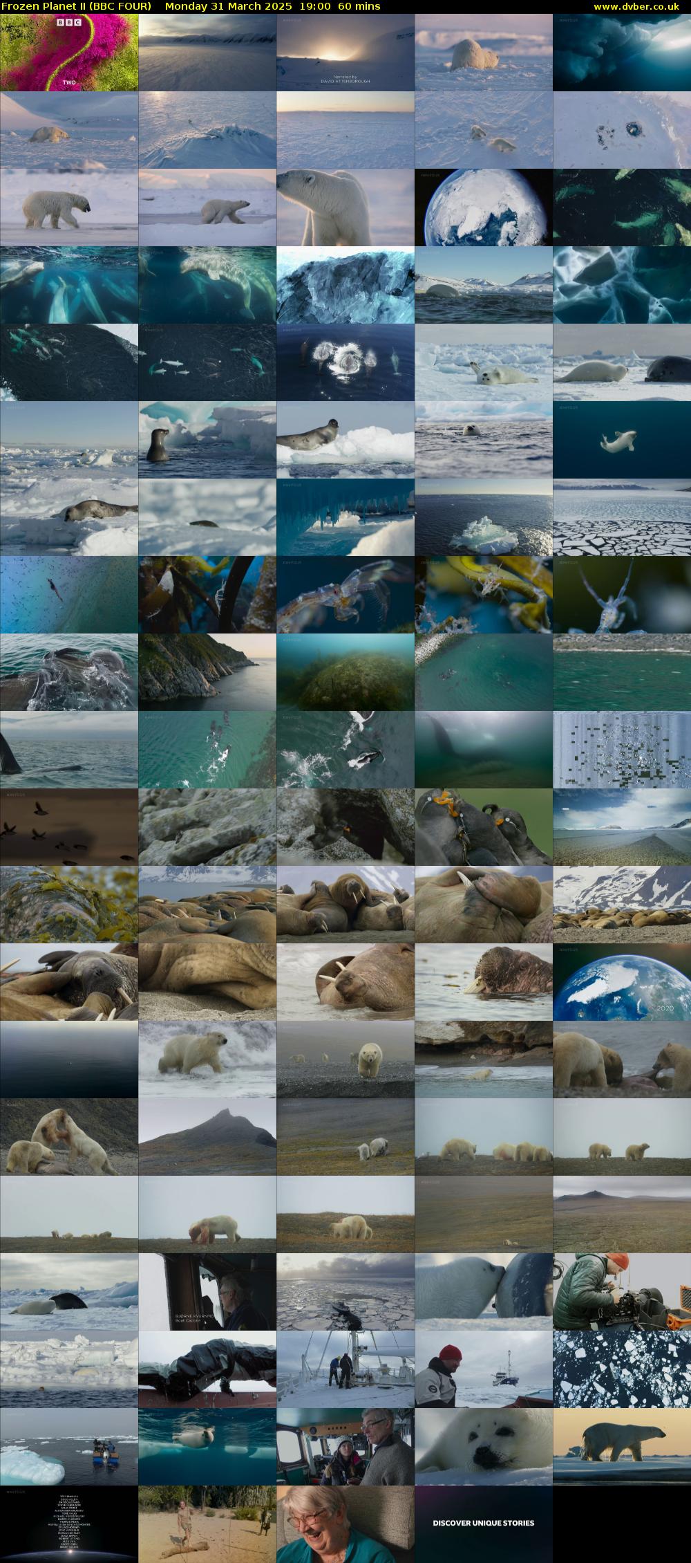Frozen Planet II (BBC FOUR) Monday 31 March 2025 19:00 - 20:00