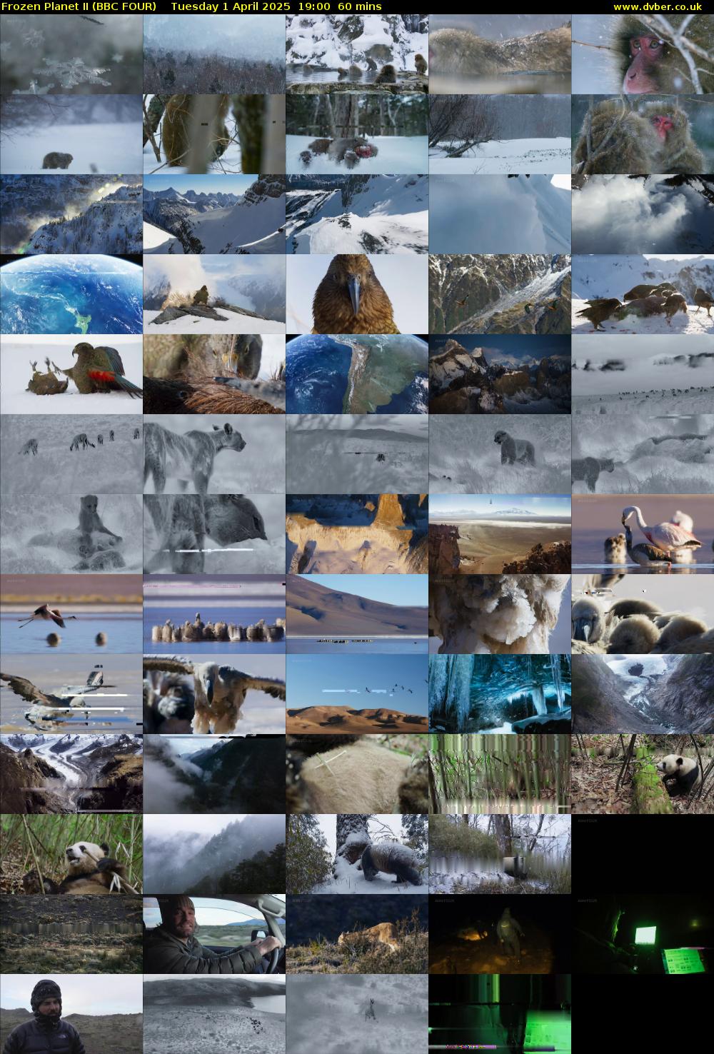 Frozen Planet II (BBC FOUR) Tuesday 1 April 2025 19:00 - 20:00