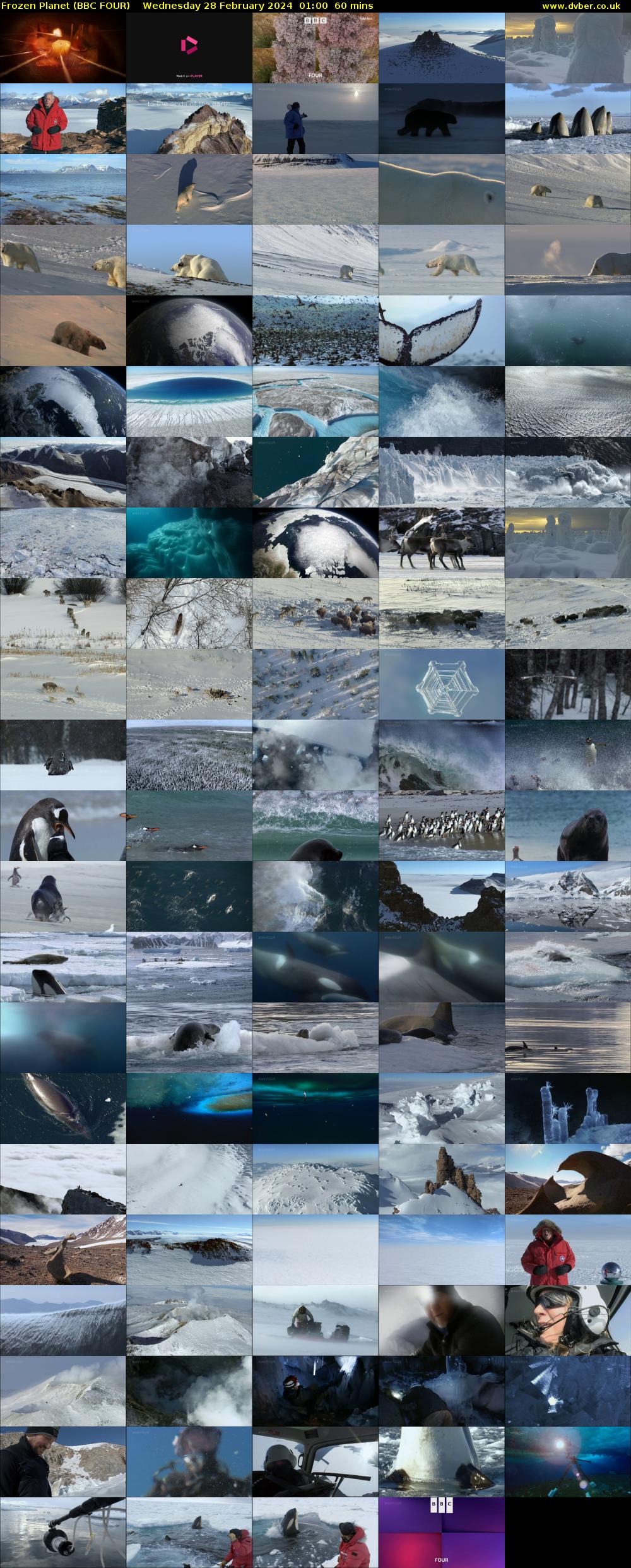 Frozen Planet (BBC FOUR) Wednesday 28 February 2024 01:00 - 02:00