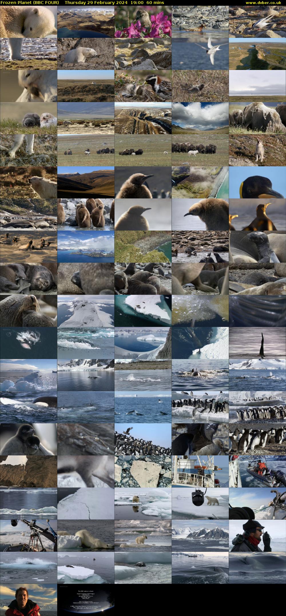 Frozen Planet (BBC FOUR) Thursday 29 February 2024 19:00 - 20:00