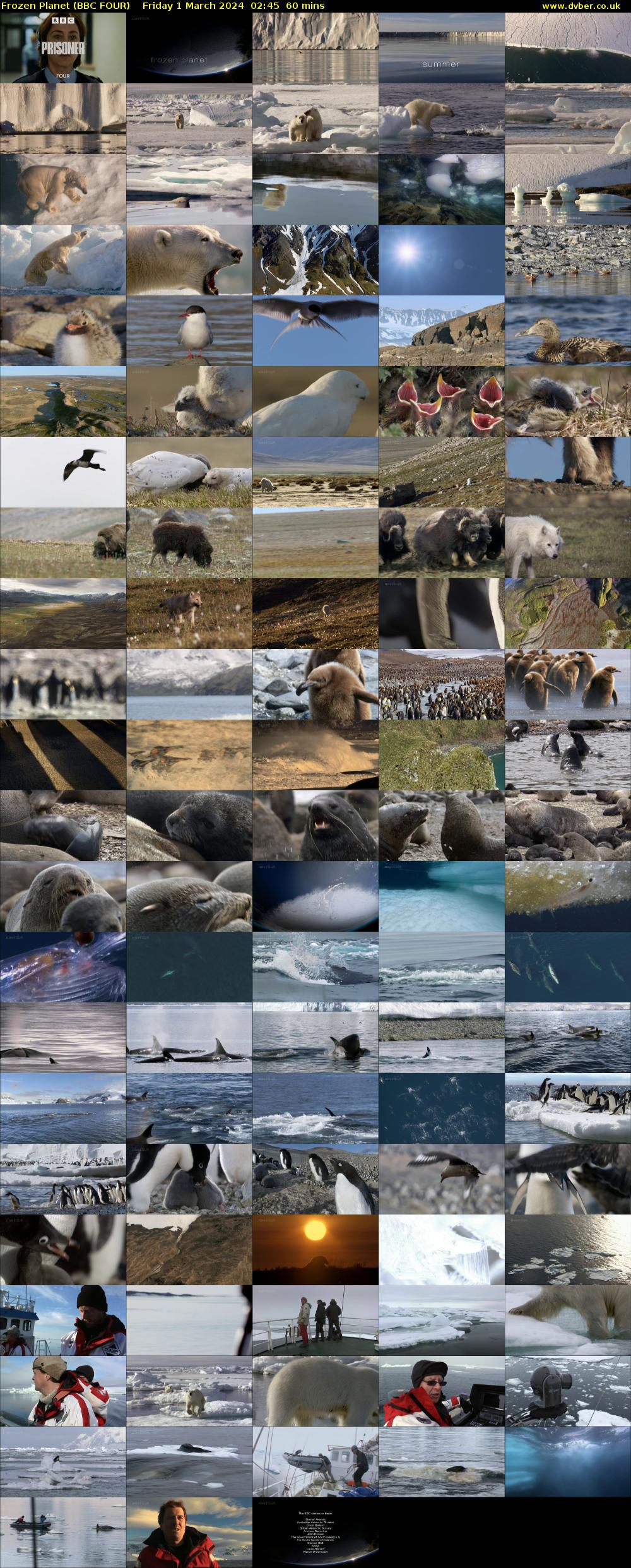 Frozen Planet (BBC FOUR) Friday 1 March 2024 02:45 - 03:45