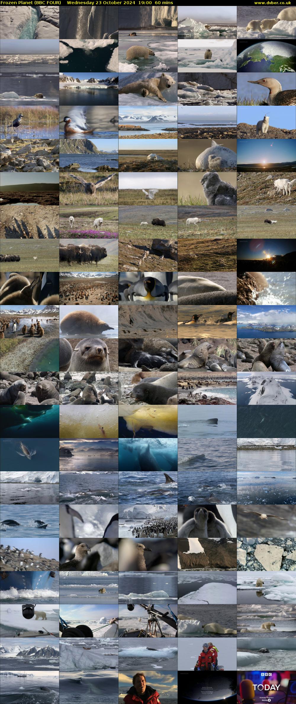 Frozen Planet (BBC FOUR) Wednesday 23 October 2024 19:00 - 20:00