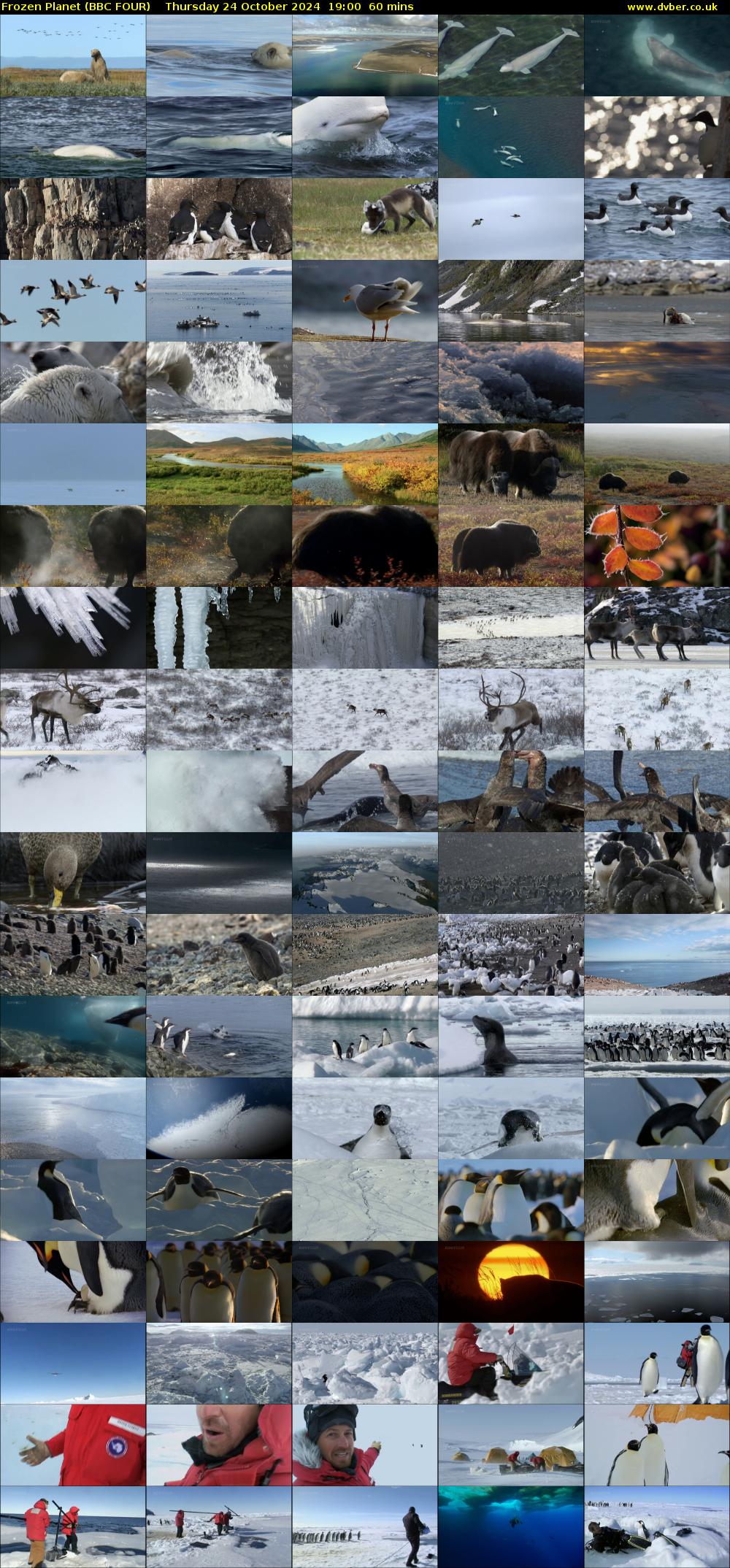 Frozen Planet (BBC FOUR) Thursday 24 October 2024 19:00 - 20:00
