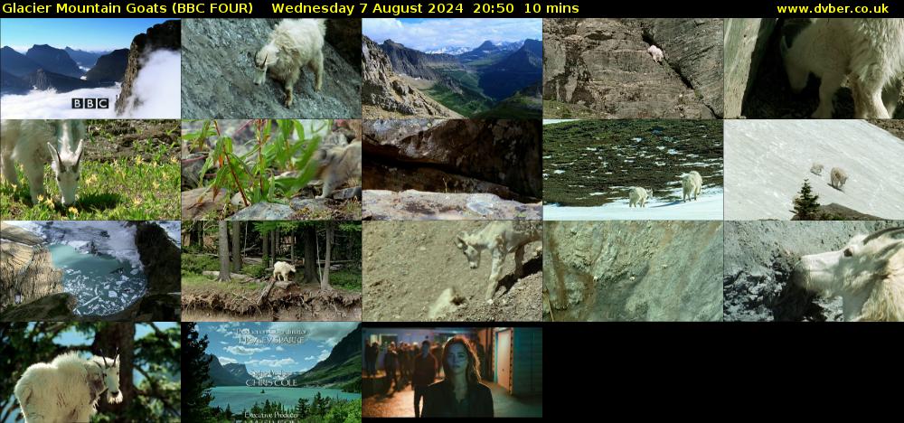 Glacier Mountain Goats (BBC FOUR) Wednesday 7 August 2024 20:50 - 21:00
