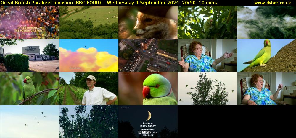 Great British Parakeet Invasion (BBC FOUR) Wednesday 4 September 2024 20:50 - 21:00