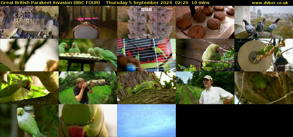 Great British Parakeet Invasion (BBC FOUR) Thursday 5 September 2024 02:20 - 02:30