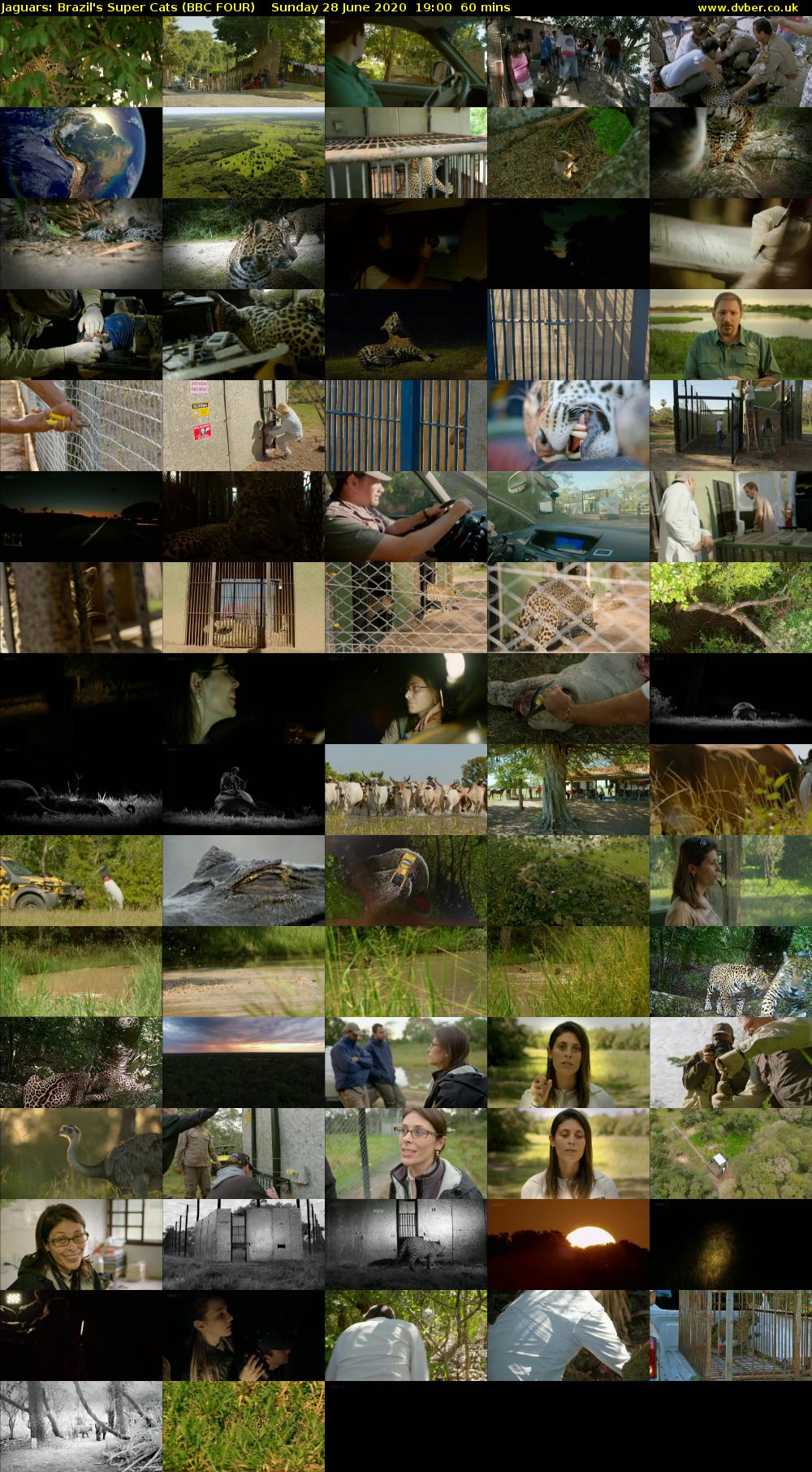 Jaguars: Brazil's Super Cats (BBC FOUR) Sunday 28 June 2020 19:00 - 20:00