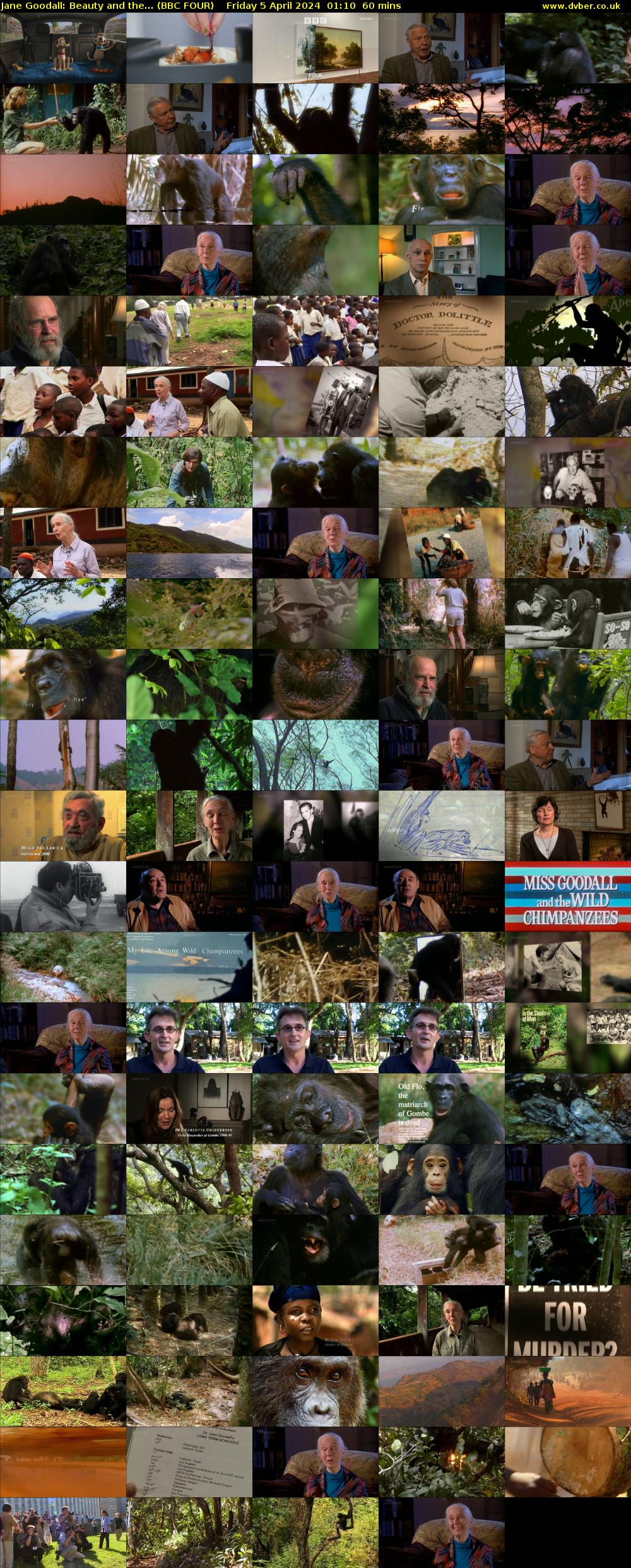 Jane Goodall: Beauty and the... (BBC FOUR) Friday 5 April 2024 01:10 - 02:10