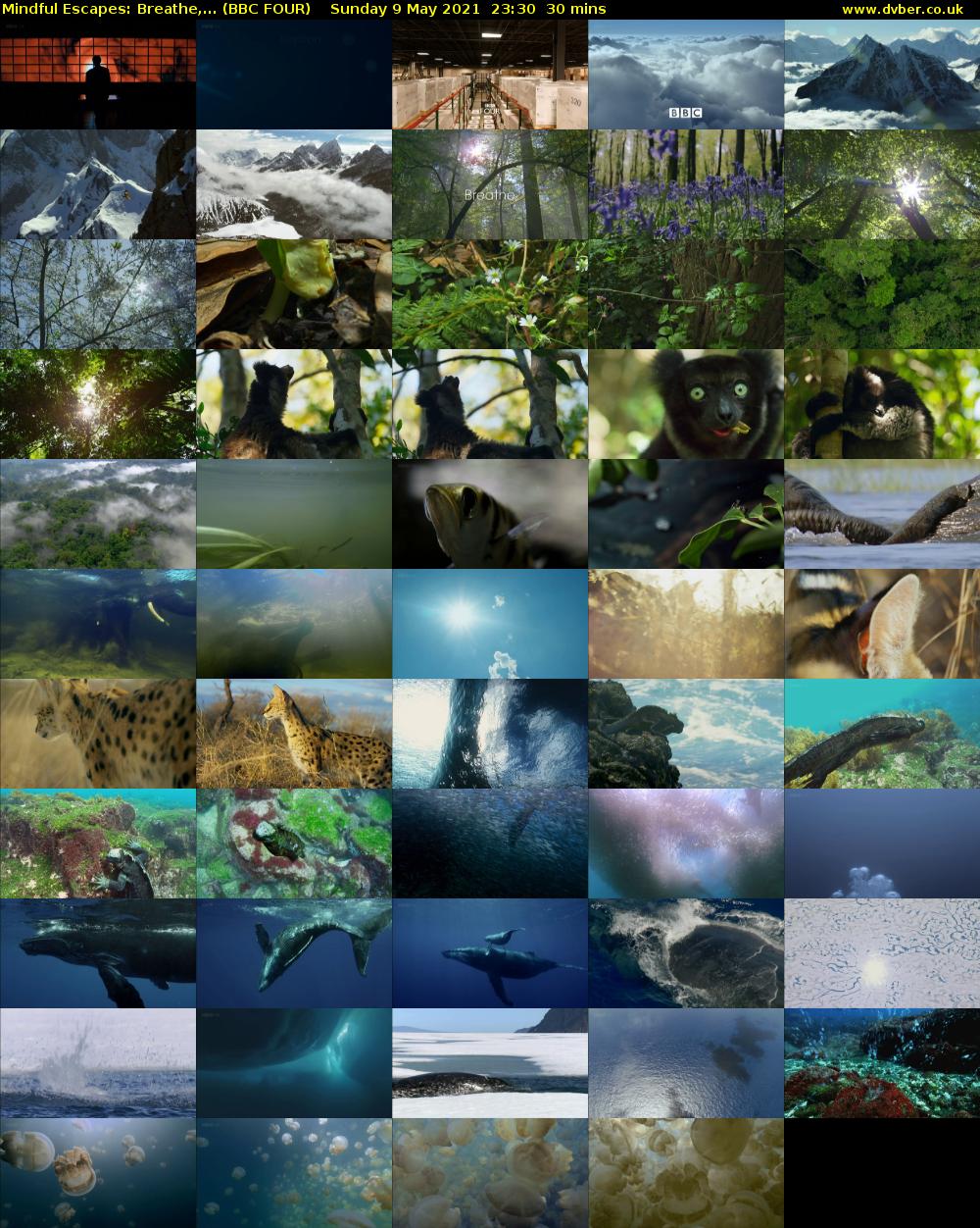 Mindful Escapes: Breathe,... (BBC FOUR) Sunday 9 May 2021 23:30 - 00:00