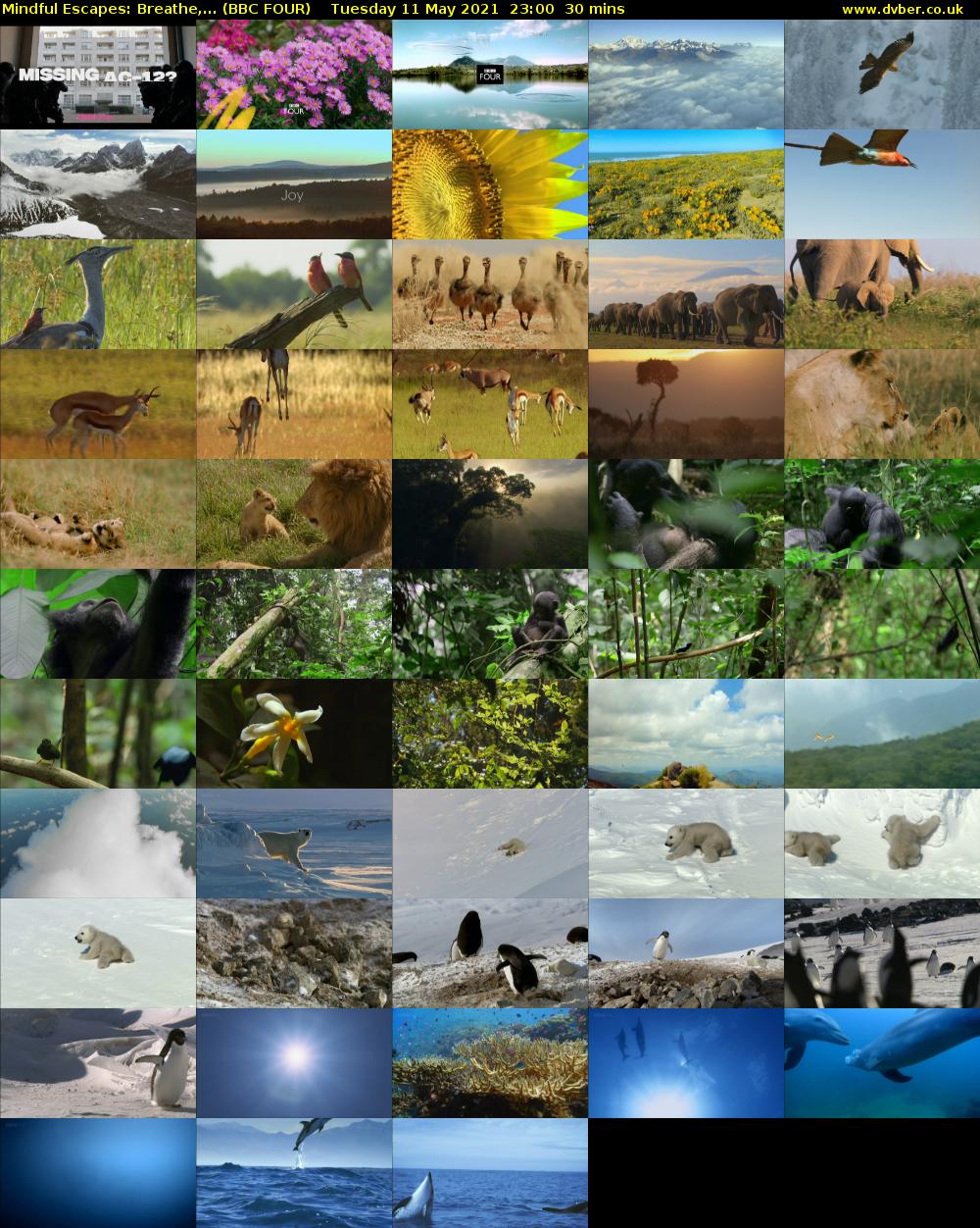 Mindful Escapes: Breathe,... (BBC FOUR) Tuesday 11 May 2021 23:00 - 23:30