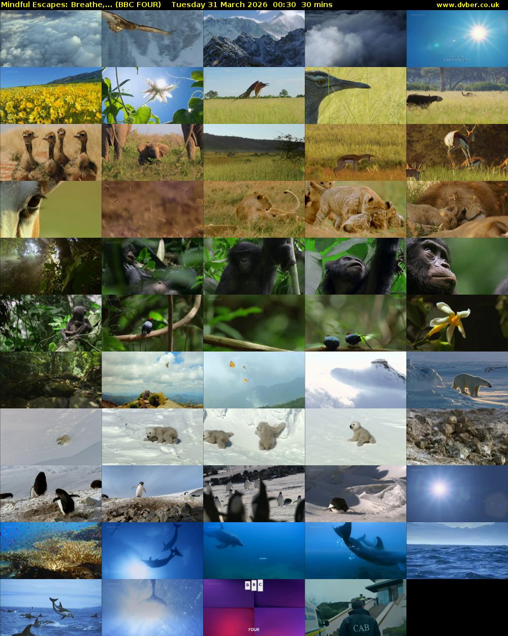 Mindful Escapes: Breathe,... (BBC FOUR) Tuesday 31 March 2026 00:30 - 01:00