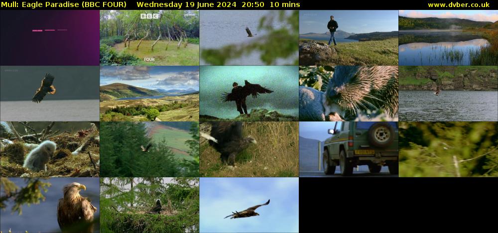 Mull: Eagle Paradise (BBC FOUR) Wednesday 19 June 2024 20:50 - 21:00