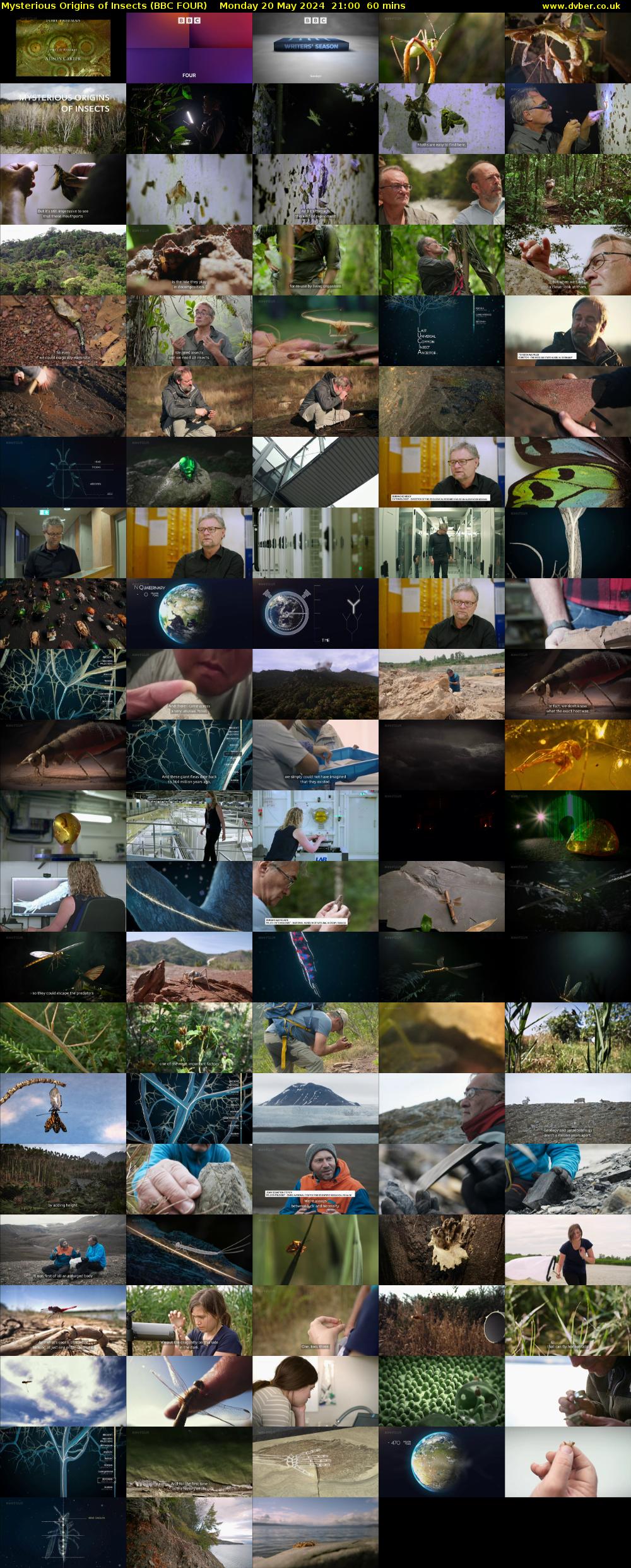 Mysterious Origins of Insects (BBC FOUR) Monday 20 May 2024 21:00 - 22:00