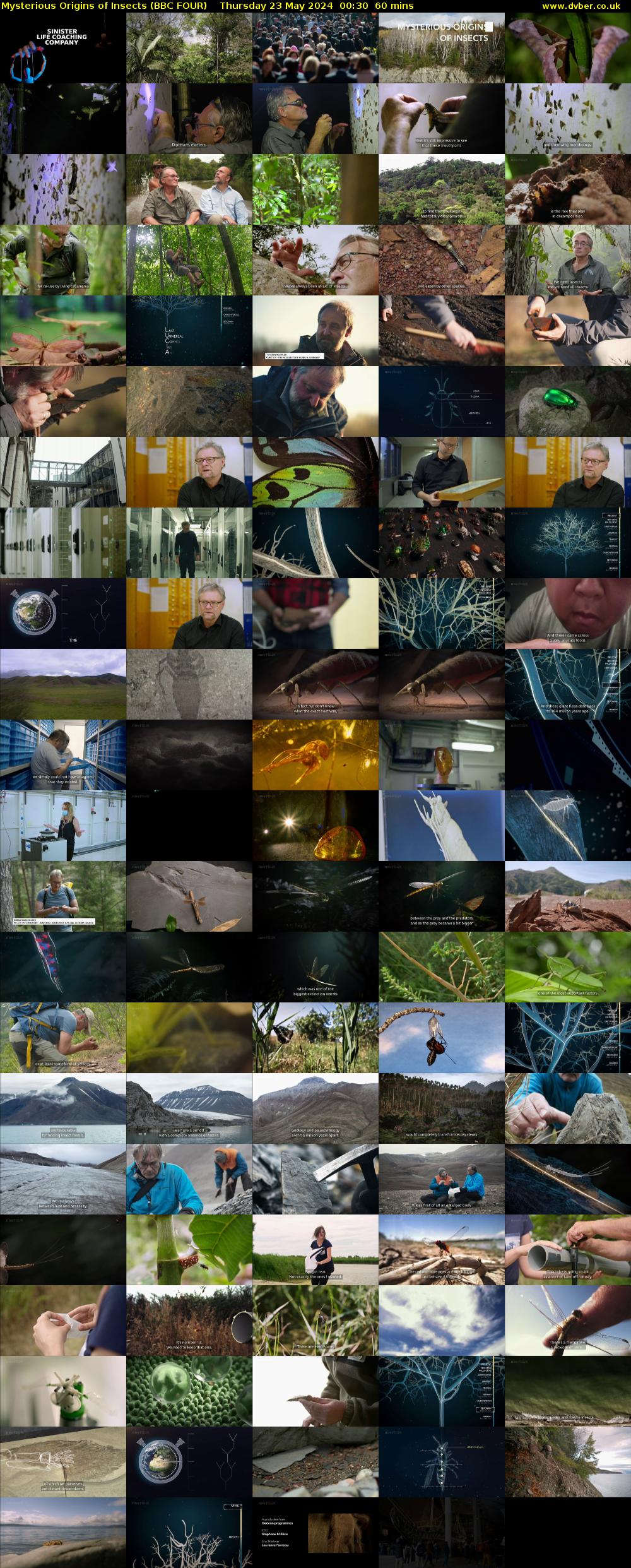 Mysterious Origins of Insects (BBC FOUR) Thursday 23 May 2024 00:30 - 01:30