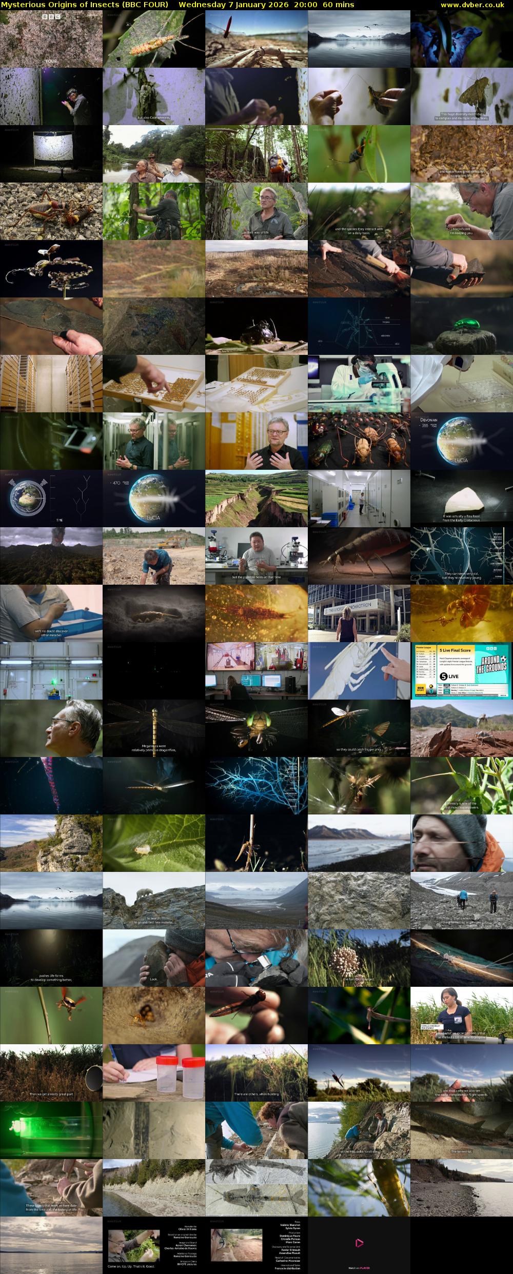 Mysterious Origins of Insects (BBC FOUR) Wednesday 7 January 2026 20:00 - 21:00