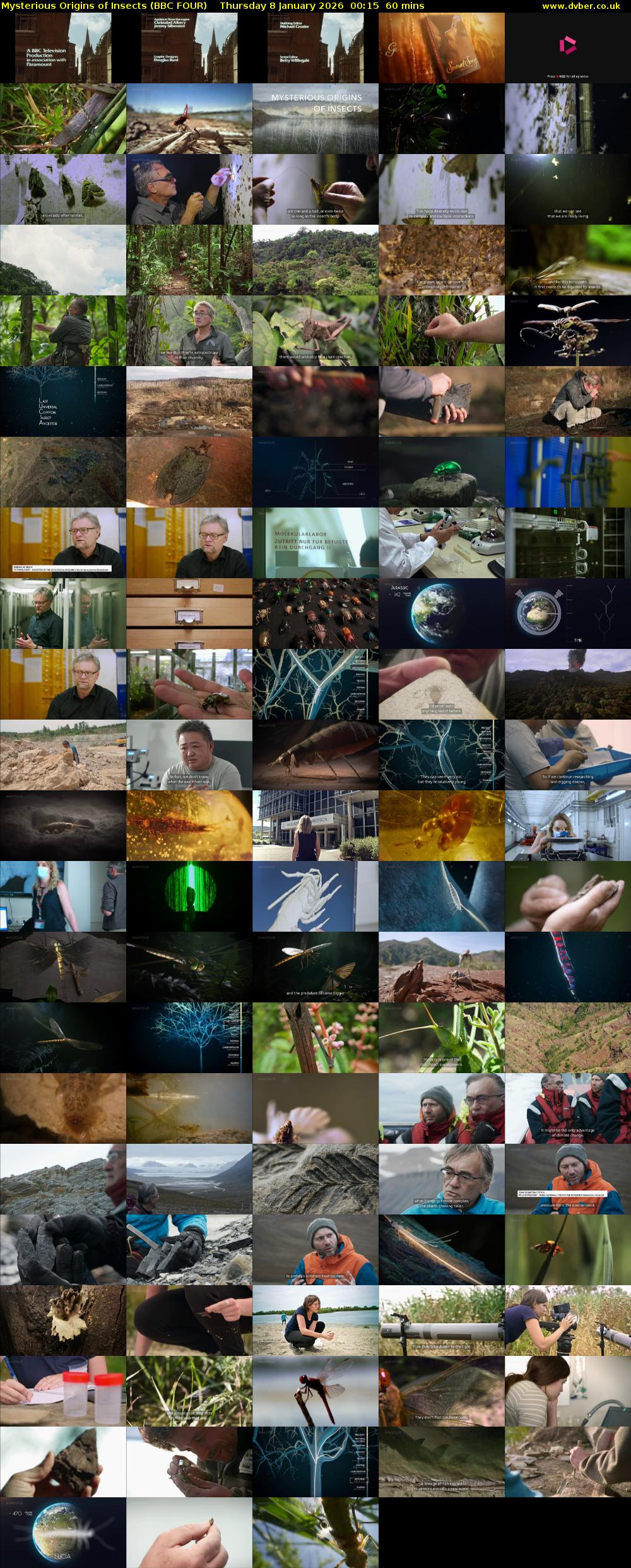 Mysterious Origins of Insects (BBC FOUR) Thursday 8 January 2026 00:15 - 01:15