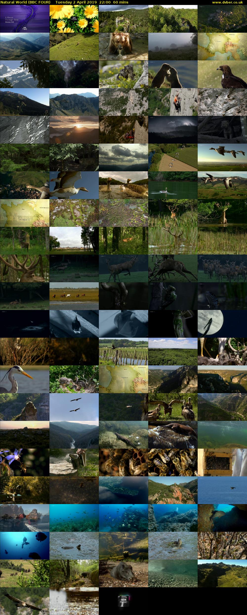 Natural World (BBC FOUR) Tuesday 2 April 2019 22:00 - 23:00