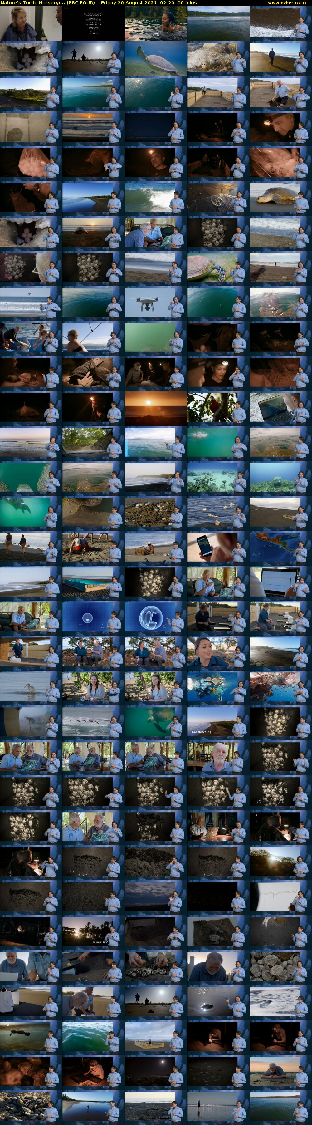 Nature's Turtle Nursery:... (BBC FOUR) Friday 20 August 2021 02:20 - 03:50