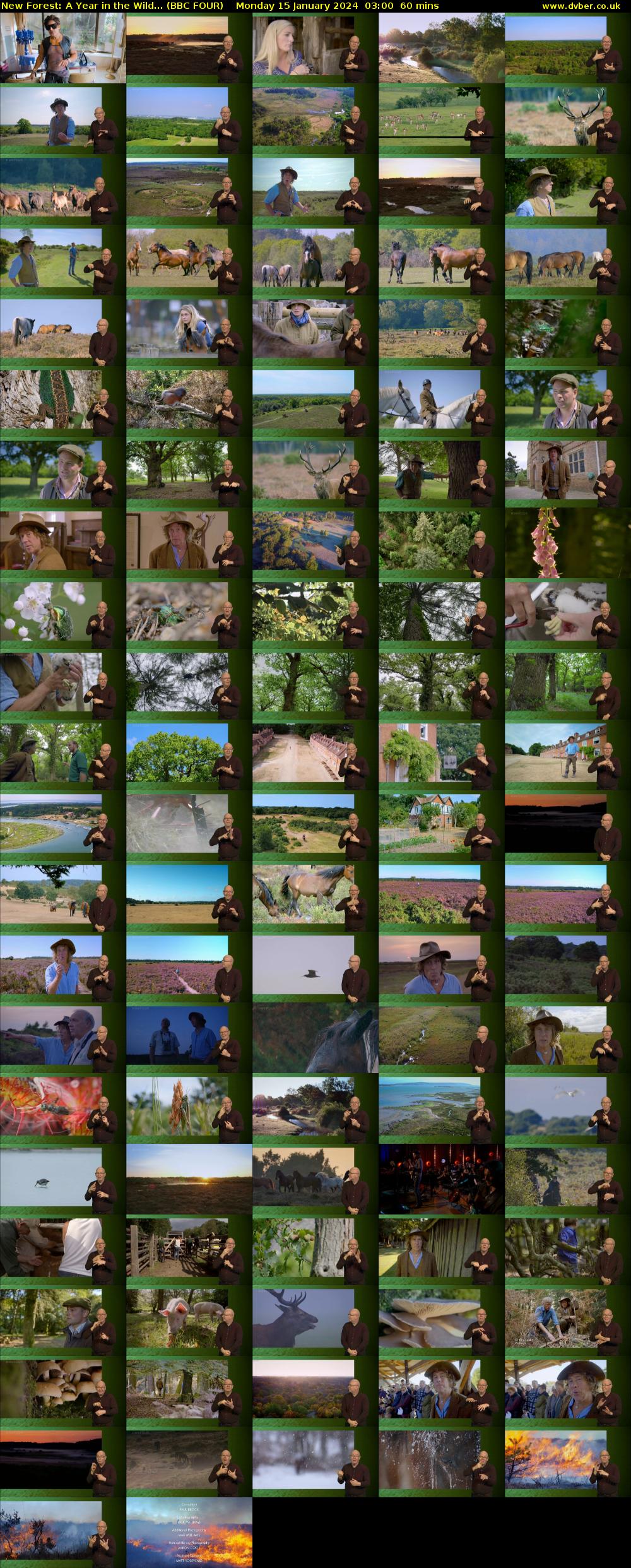 New Forest: A Year in the Wild... (BBC FOUR) Monday 15 January 2024 03:00 - 04:00