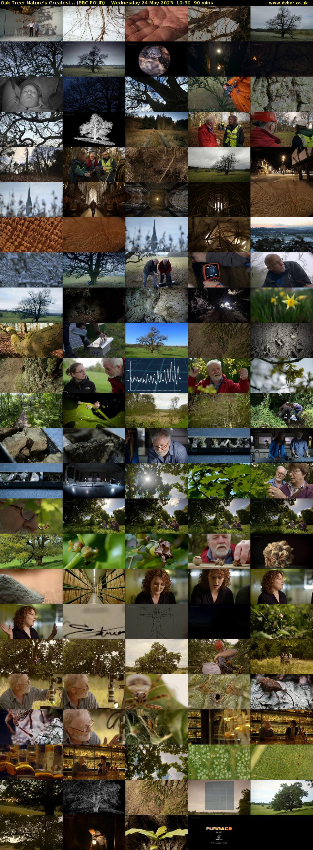Oak Tree: Nature's Greatest... (BBC FOUR) Wednesday 24 May 2023 19:30 - 21:00