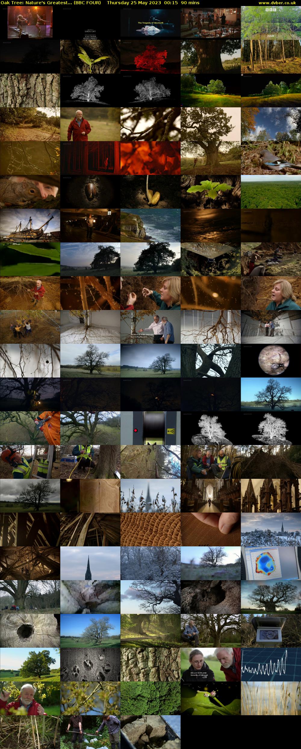 Oak Tree: Nature's Greatest... (BBC FOUR) Thursday 25 May 2023 00:15 - 01:45