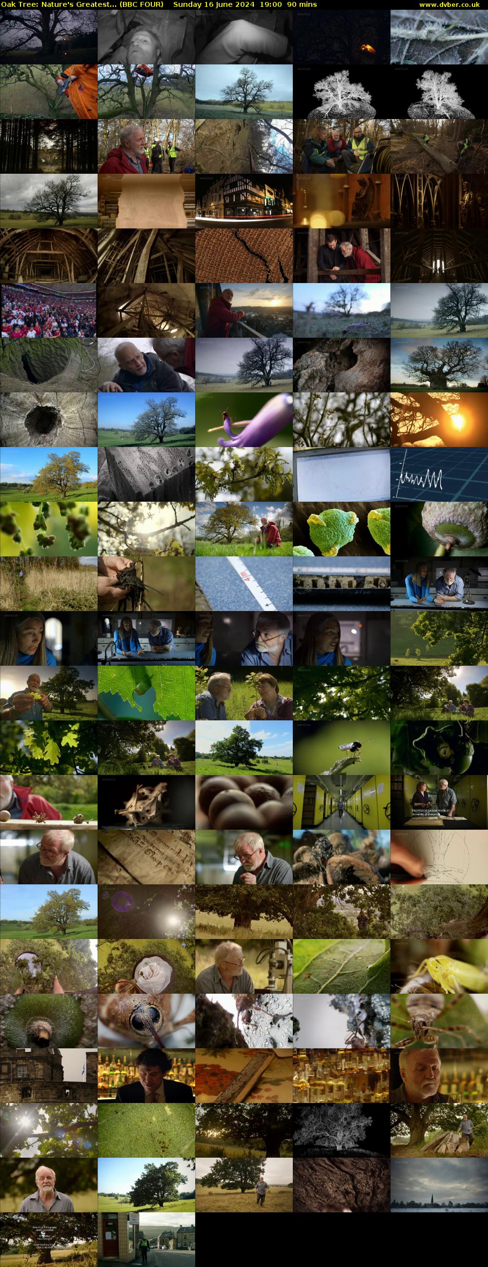 Oak Tree: Nature's Greatest... (BBC FOUR) Sunday 16 June 2024 19:00 - 20:30