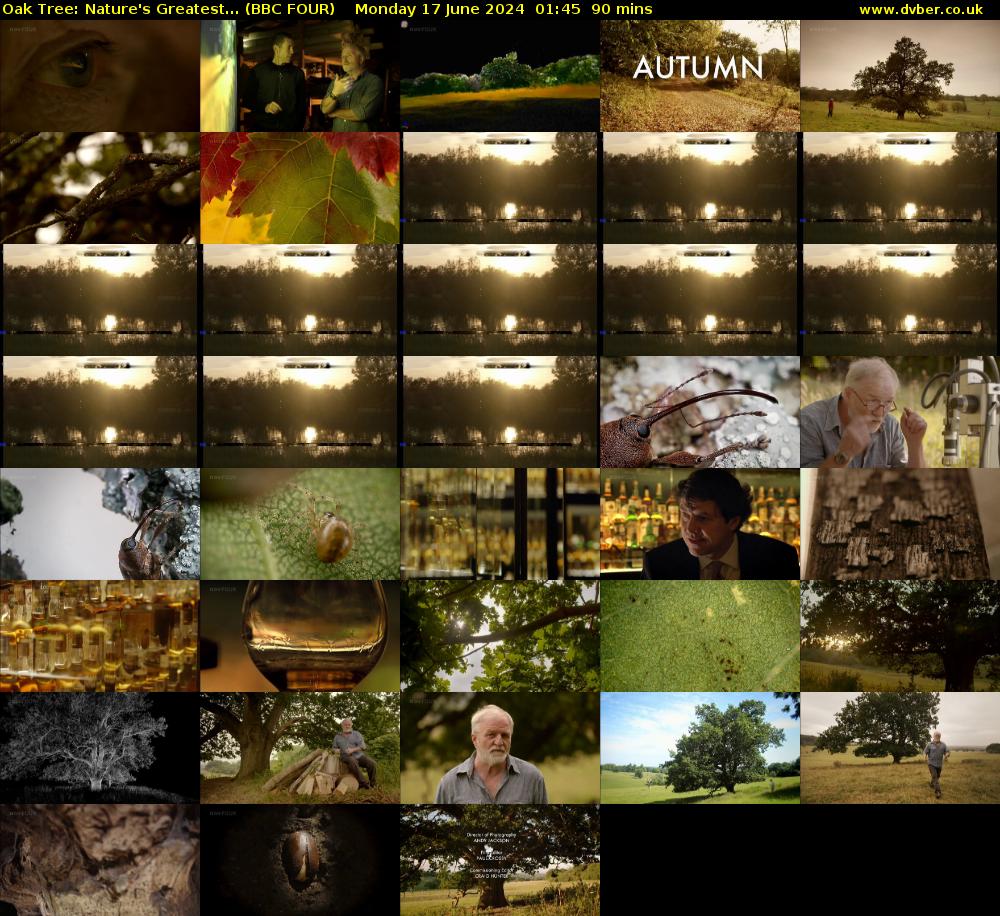 Oak Tree: Nature's Greatest... (BBC FOUR) Monday 17 June 2024 01:45 - 03:15