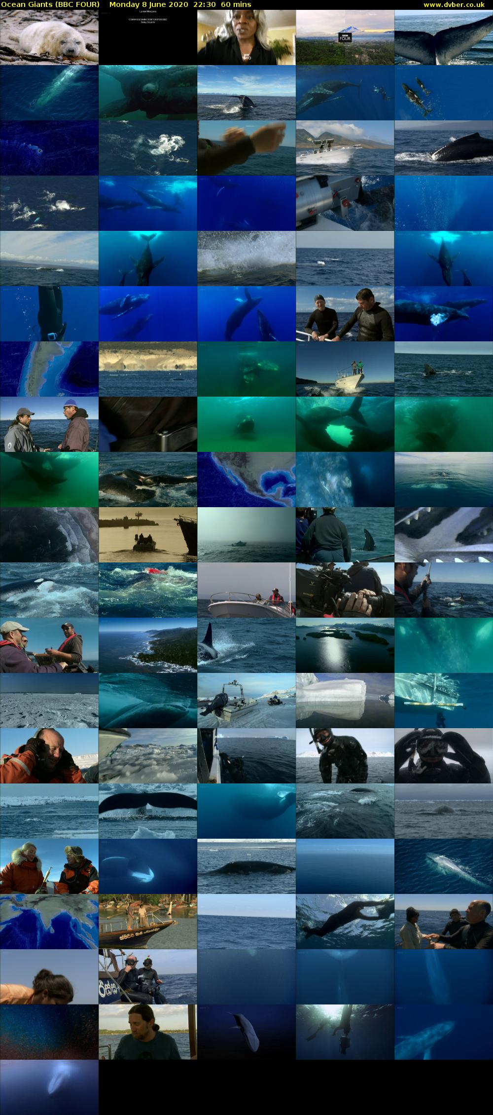Ocean Giants (BBC FOUR) Monday 8 June 2020 22:30 - 23:30