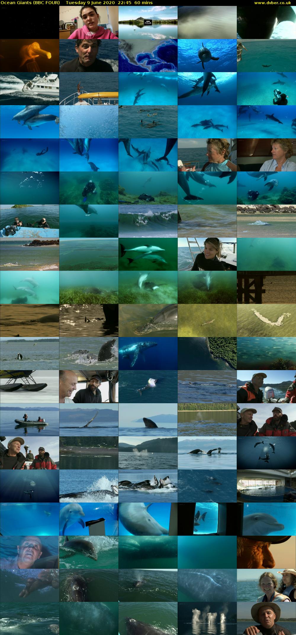 Ocean Giants (BBC FOUR) Tuesday 9 June 2020 22:45 - 23:45