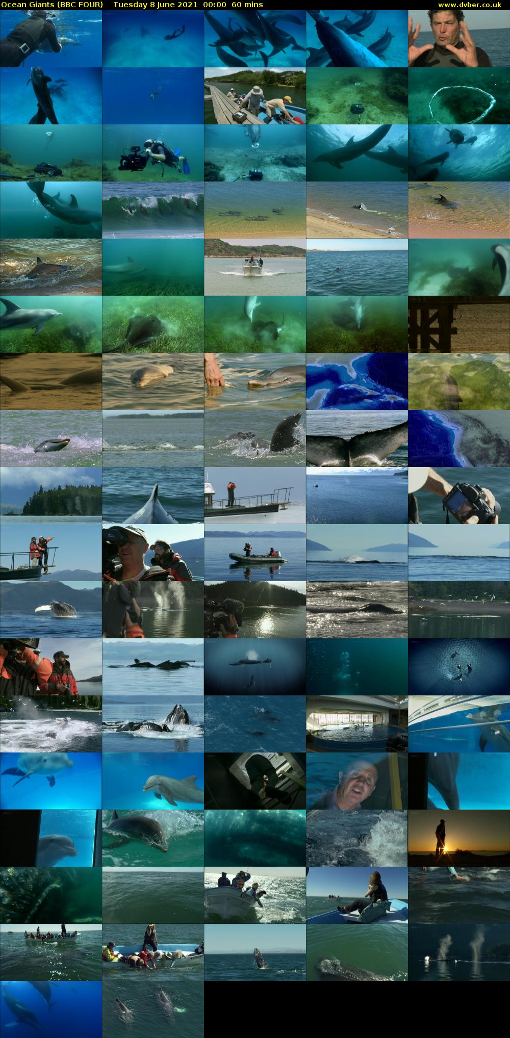 Ocean Giants (BBC FOUR) Tuesday 8 June 2021 00:00 - 01:00
