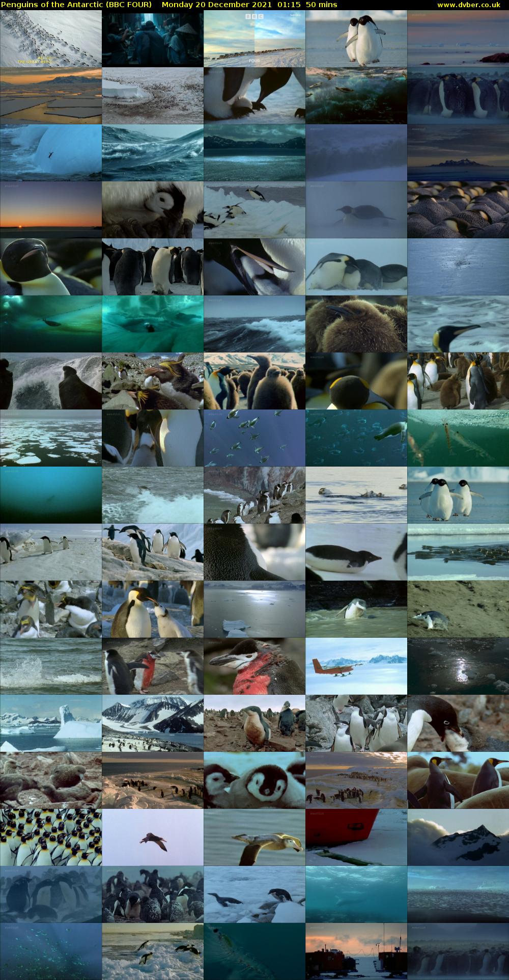 Penguins of the Antarctic (BBC FOUR) Monday 20 December 2021 01:15 - 02:05