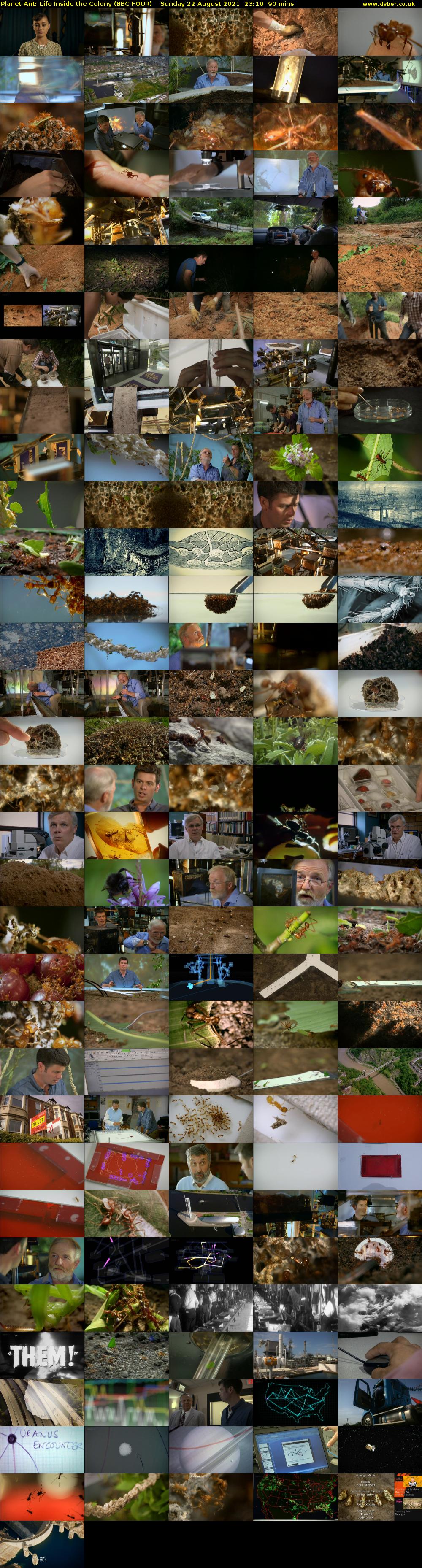Planet Ant: Life Inside the Colony (BBC FOUR) Sunday 22 August 2021 23:10 - 00:40