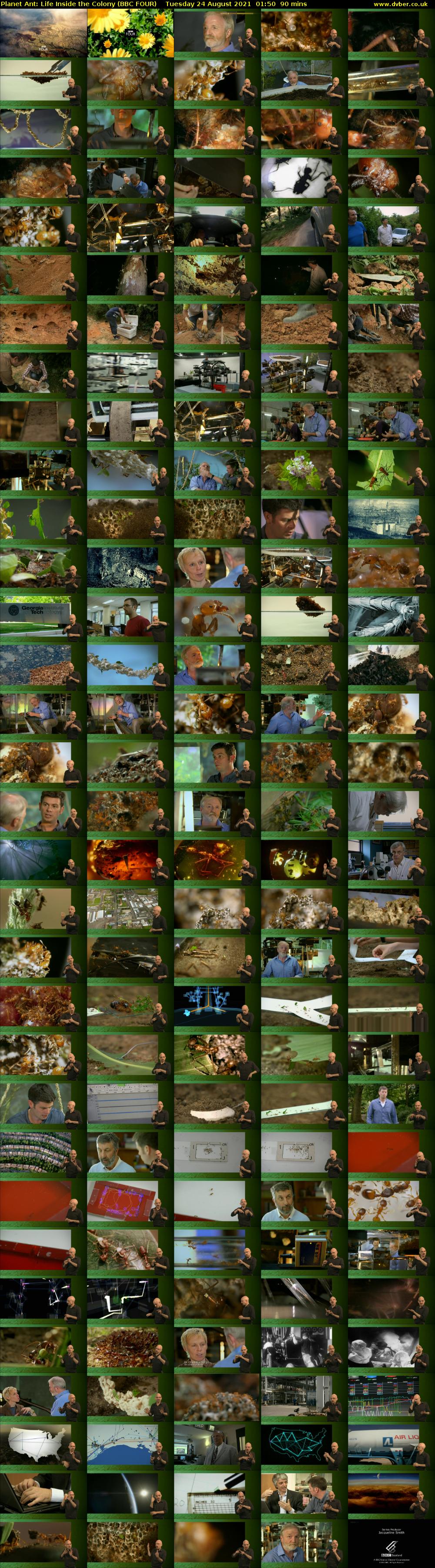 Planet Ant: Life Inside the Colony (BBC FOUR) Tuesday 24 August 2021 01:50 - 03:20