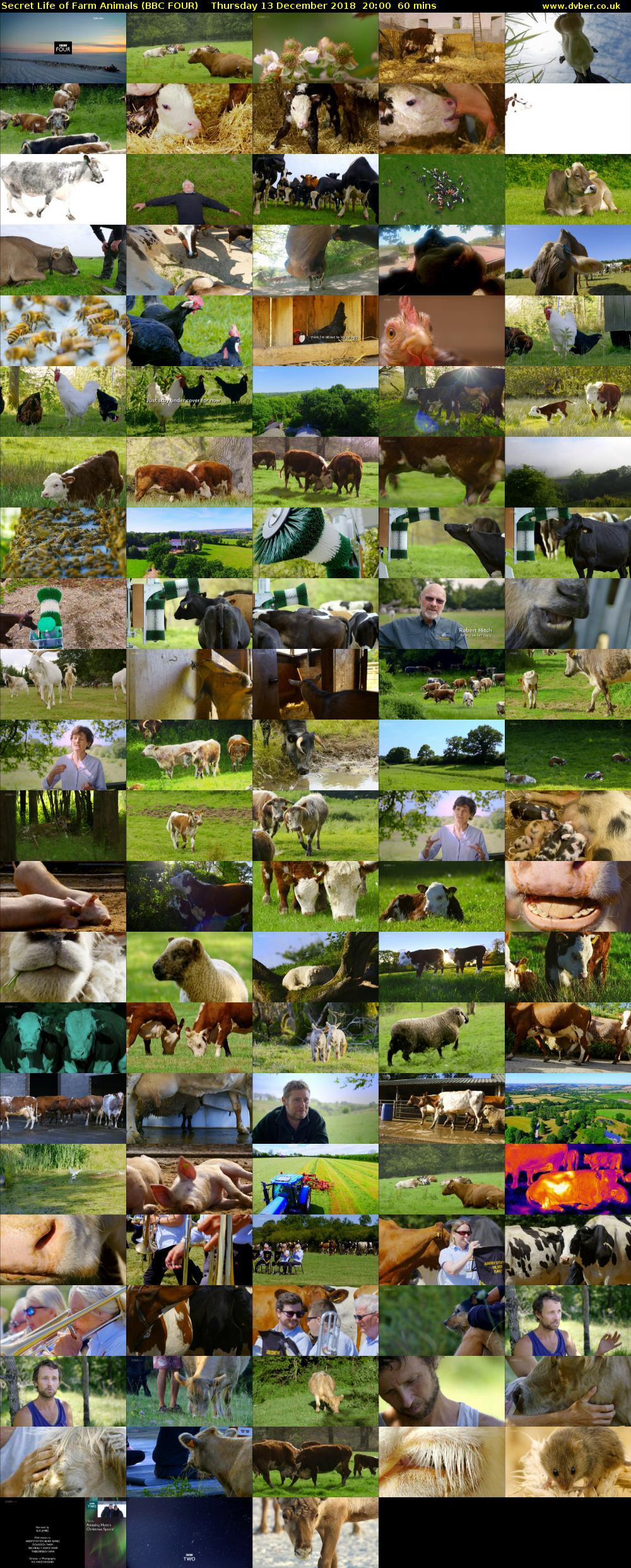 Secret Life of Farm Animals (BBC FOUR) Thursday 13 December 2018 20:00 - 21:00