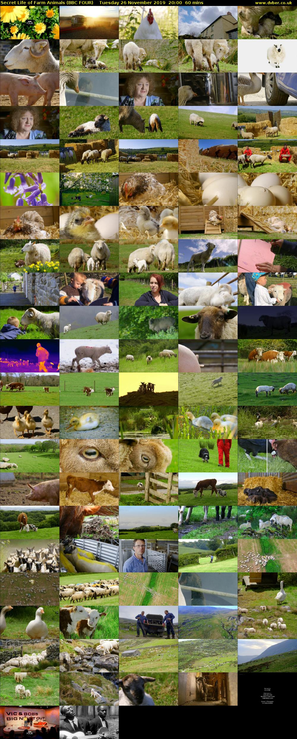 Secret Life of Farm Animals (BBC FOUR) Tuesday 26 November 2019 20:00 - 21:00