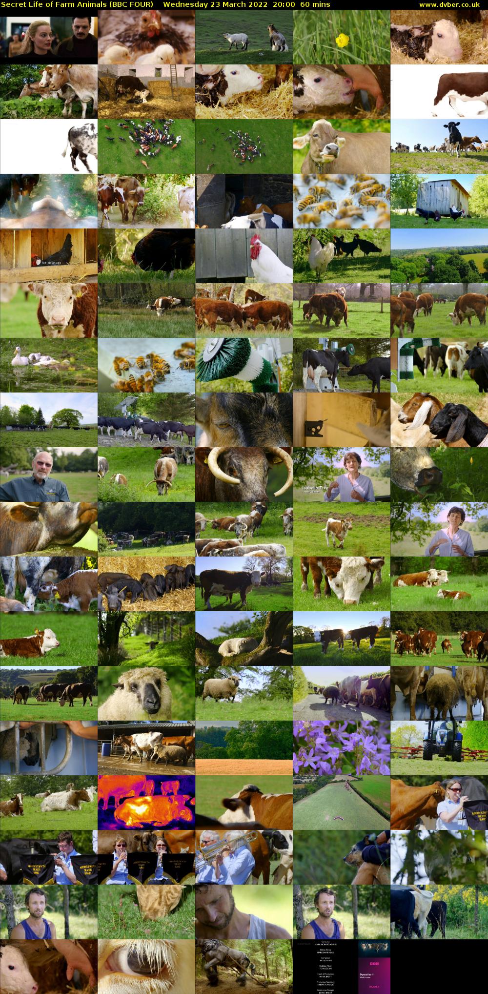 Secret Life of Farm Animals (BBC FOUR) Wednesday 23 March 2022 20:00 - 21:00