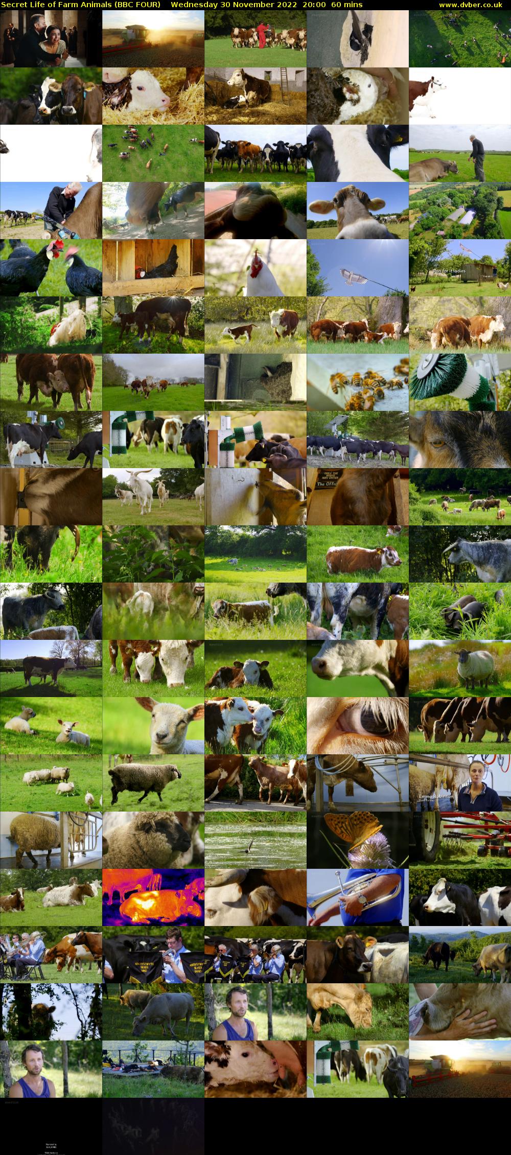 Secret Life of Farm Animals (BBC FOUR) Wednesday 30 November 2022 20:00 - 21:00