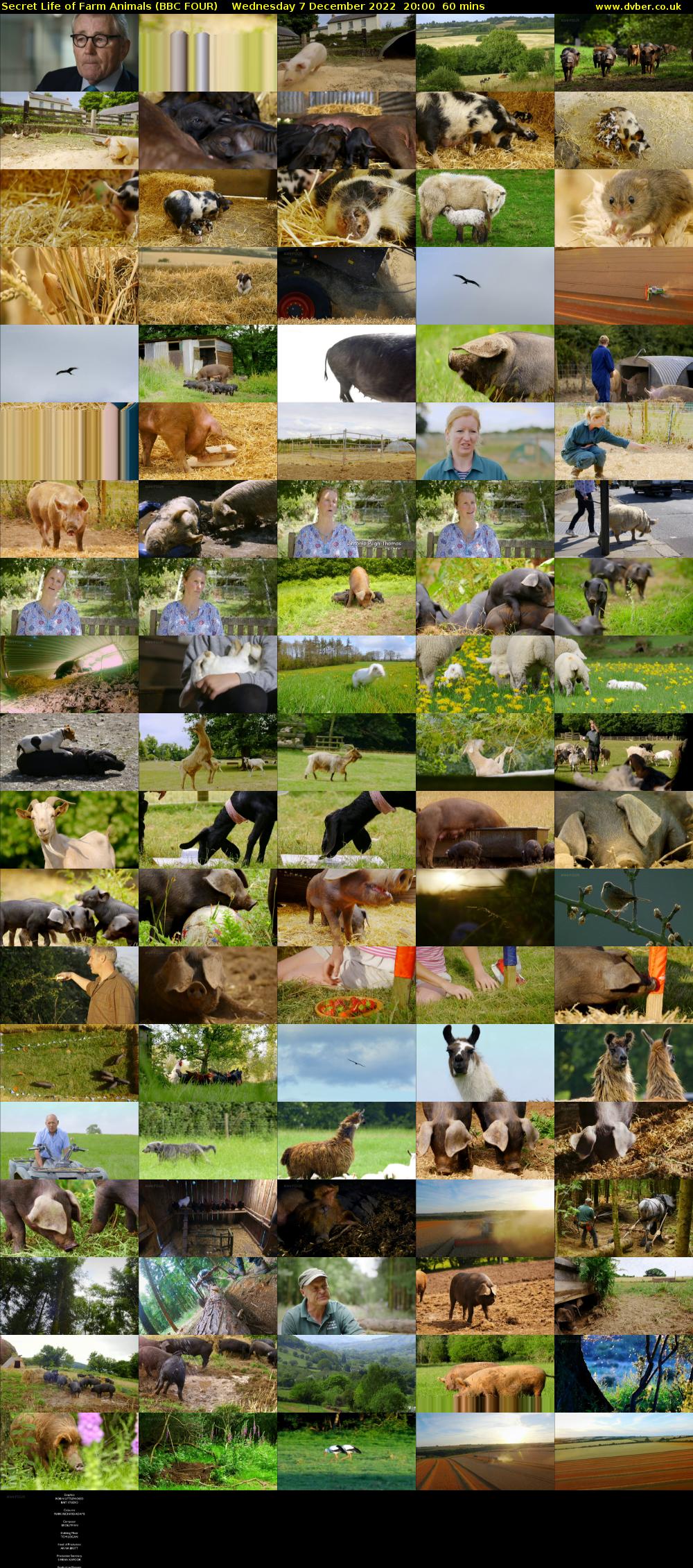 Secret Life of Farm Animals (BBC FOUR) Wednesday 7 December 2022 20:00 - 21:00