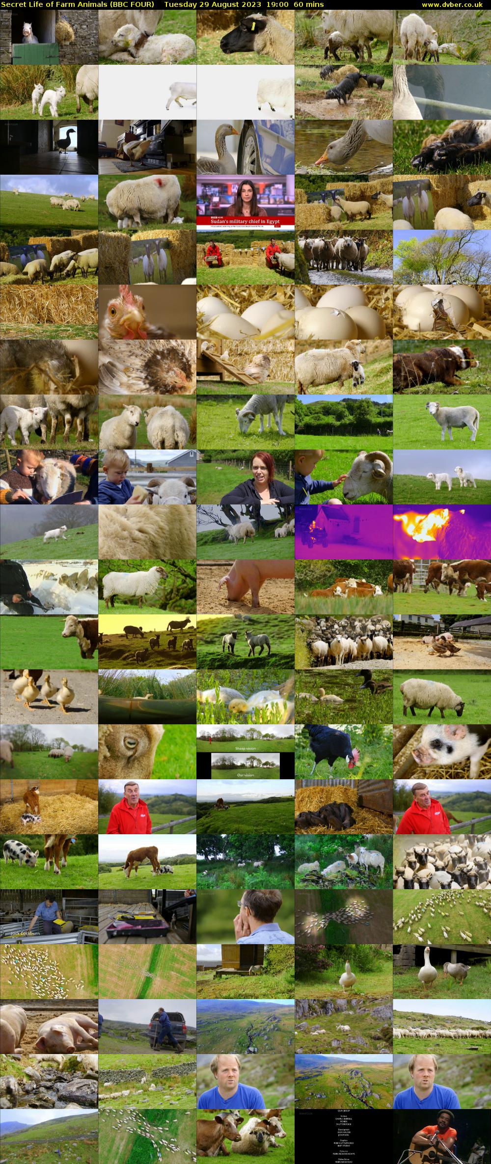 Secret Life of Farm Animals (BBC FOUR) Tuesday 29 August 2023 19:00 - 20:00