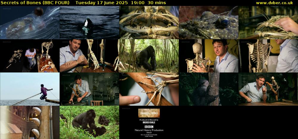 Secrets of Bones (BBC FOUR) Tuesday 17 June 2025 19:00 - 19:30